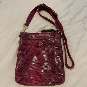 Coach Crossbody Snake Print Elegant Crossbody Bag 9x8